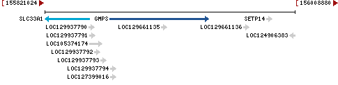 Genomic Context describing neighboring genes