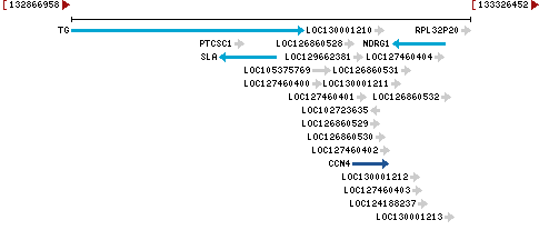 Genomic Context describing neighboring genes