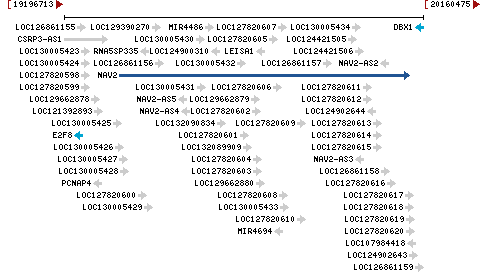 Genomic Context describing neighboring genes