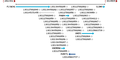 Genomic Context describing neighboring genes