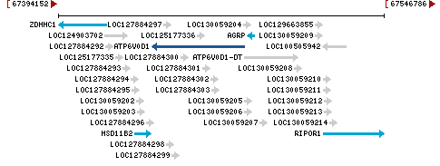 Genomic Context describing neighboring genes