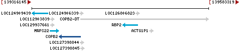 Genomic Context describing neighboring genes