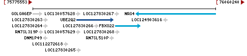 Genomic Context describing neighboring genes