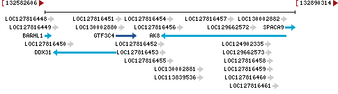 Genomic Context describing neighboring genes