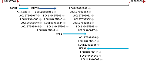 Genomic Context describing neighboring genes