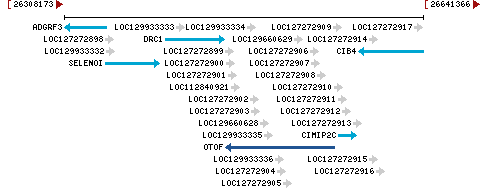 Genomic Context describing neighboring genes