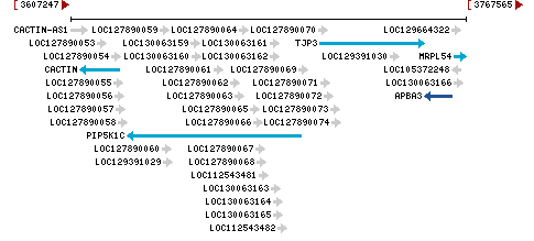 Genomic Context describing neighboring genes