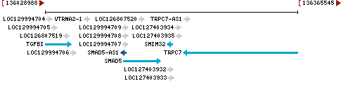 Genomic Context describing neighboring genes