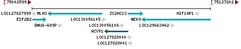 Genomic Context describing neighboring genes