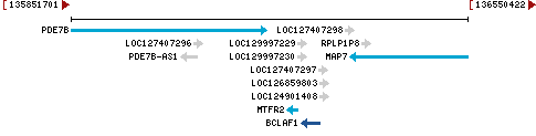 Genomic Context describing neighboring genes