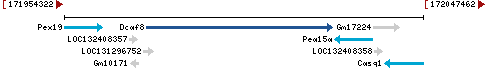 Genomic Context describing neighboring genes