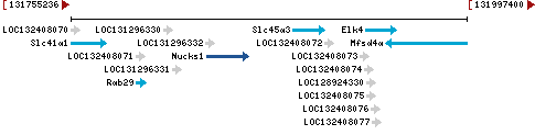 Genomic Context describing neighboring genes