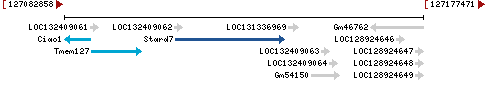 Genomic Context describing neighboring genes