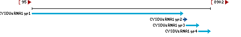 Genomic Context describing neighboring genes