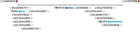 Genomic Context describing neighboring genes