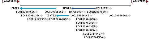 Genomic Context describing neighboring genes